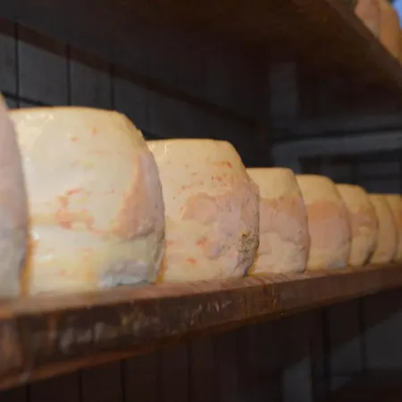 农家乐 Blasblei *