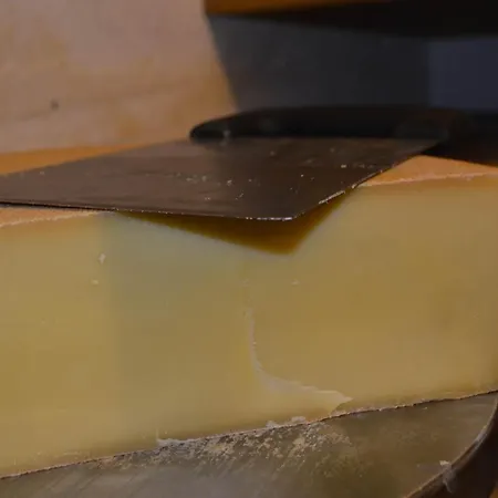 Blasblei * 圣加伦基希